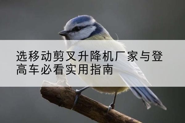 怀柔区电动升降机厂家-选移动剪叉升降机厂家与登高车必看实用指南