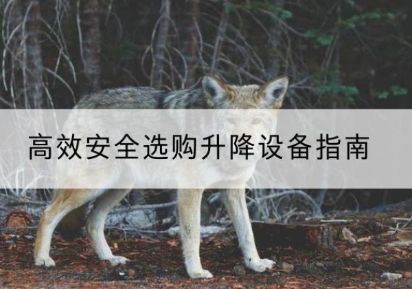 怀柔区升降货梯厂家推荐-*安全选购升降设备指南